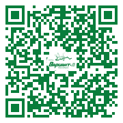 QR-код этой страницы
