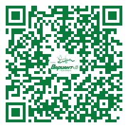QR-код этой страницы