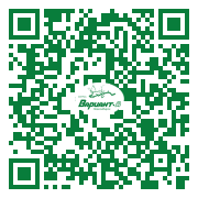 QR-код этой страницы