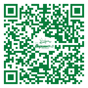 QR-код этой страницы