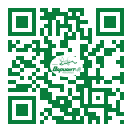 QR-код этой страницы