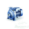 Насос Pedrollo HFm 51B (47HF5M1BA1). Код 26013