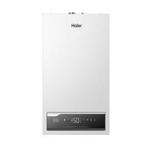 Фото товара «Котел газовый двухконтурный Haier ProLine S 2.24 Ti (24 кВт). Код 26028», Настенные газовые котлы