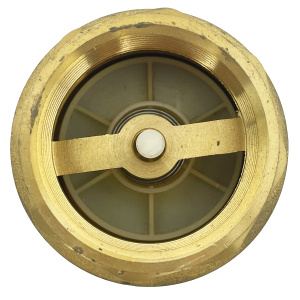 Фото товара «Обратный клапан ProAqua 2" в.р.-в.р. пружинный. Код 10867», Клапаны