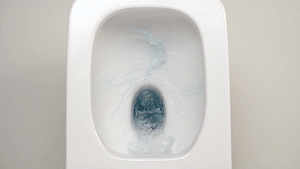 Безободковые унитазы Roca